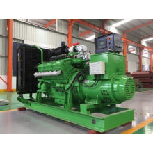 Biogas Generator Set Lvhuan 200kw for Rubbish Landfill Animal Husbandry & Livestock Breeding Delaction Water Cooled for Power Plant Industrial Generators